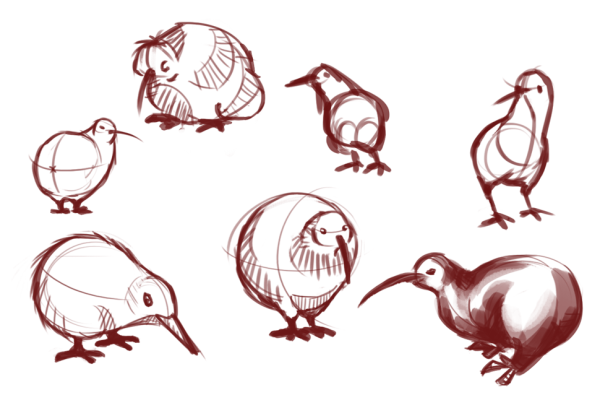 Птичка киви на белом фоне