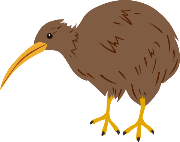 Птичка киви арт