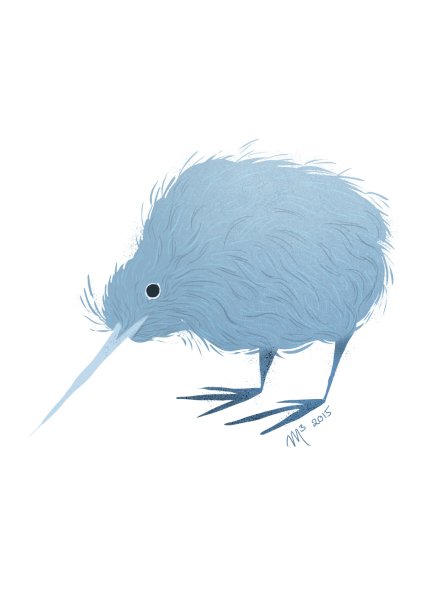 Птица киви на прозрачном фоне