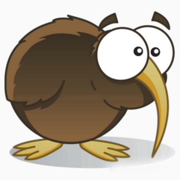 Птичка без фона