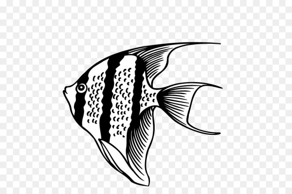 Рыбка черно белая на прозрачном фоне