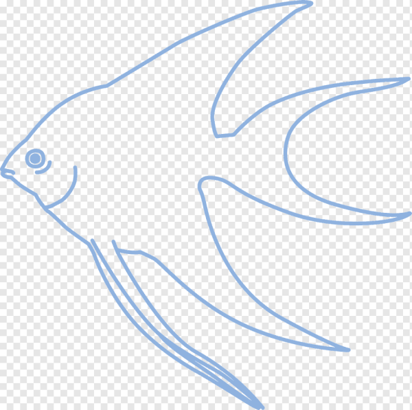 Рыба контур