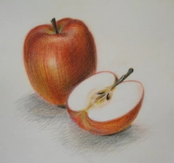 Рисование фруктов цветными карандашами