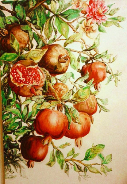 Гранат на ветке