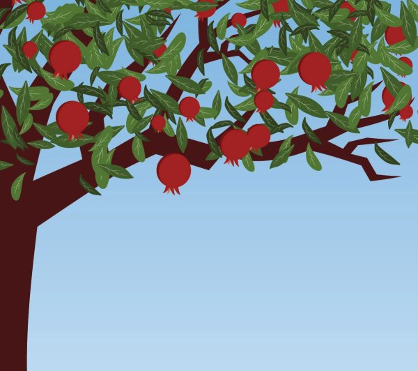 Гранатовое дерево вектор