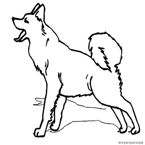 Собака лает раскраска