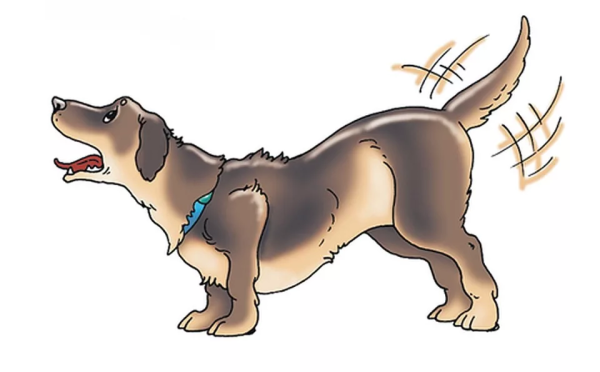 Собака лает