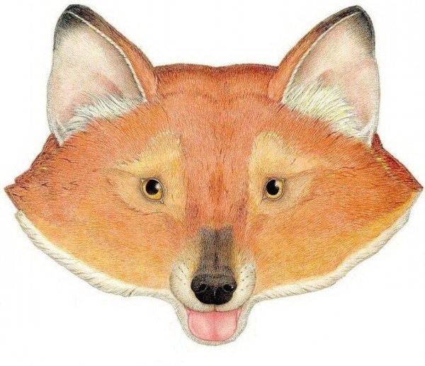 Маска "Лисичка"