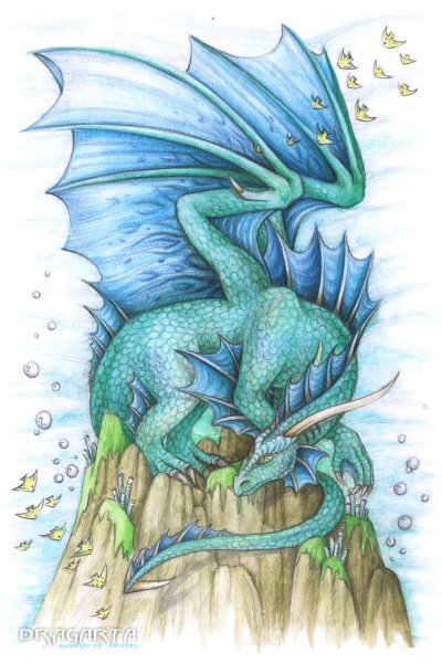 Водный дракон