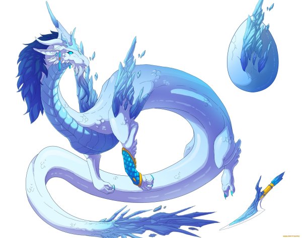 Китайский Водный дракон