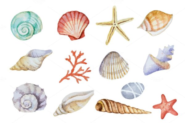 Ракушки цветные для распечатки