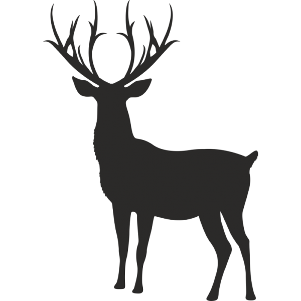 Силуэт оленя