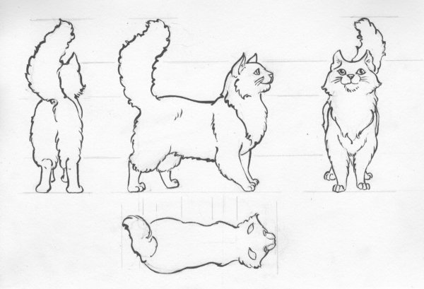 Кошка спереди референс