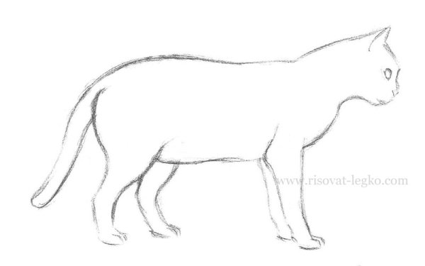 Кот сбоку для рисования