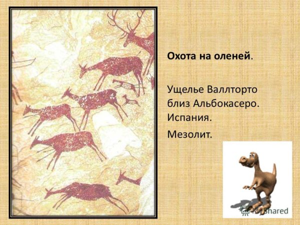 Охота на оленей испаниямезалит