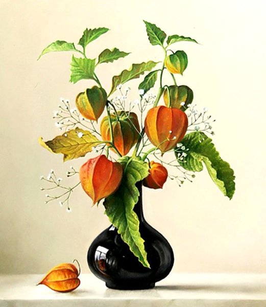 Ботаническая живопись физалис