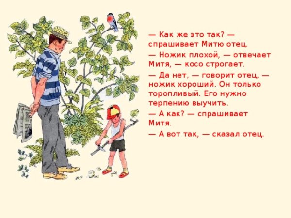 Евгений ПЕРМЯК торопливый ножик