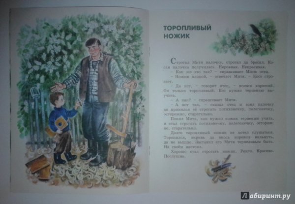 ПЕРМЯК Евгений Андреевич торопливый ножик