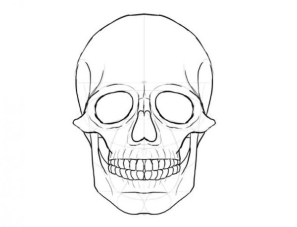 Череп рисунок простой