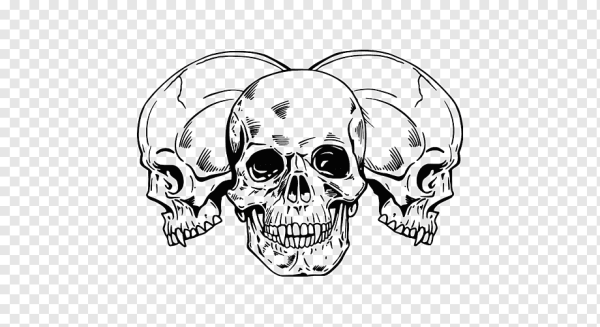 Тату череп на прозрачном фоне