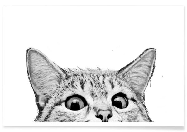 Нарисованный выглядывающий кот