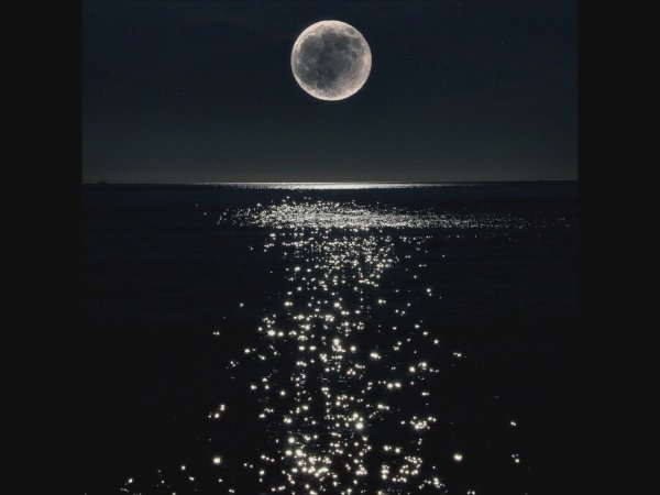 Ночь Луна