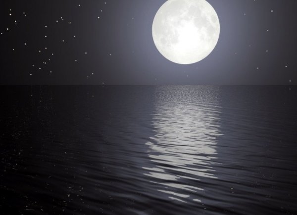 Лунная дорожка