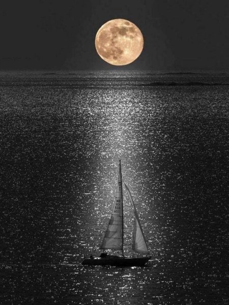 Лунная дорожка