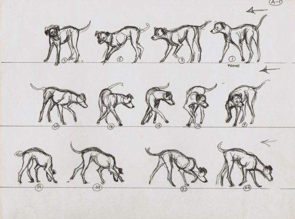 Собака сзади референс