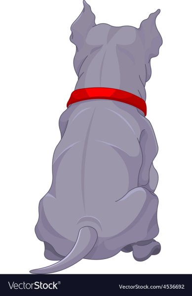 Собака вид сзади рисунок