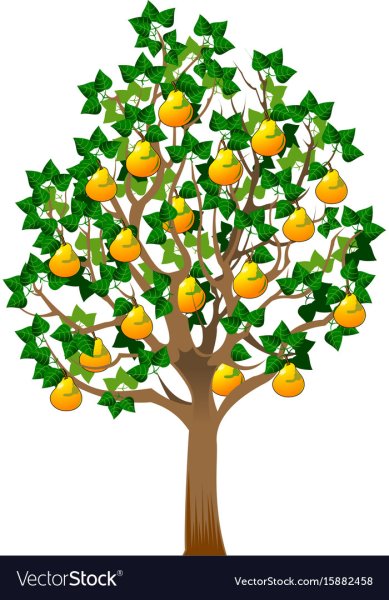 Фруктовые деревья для детей