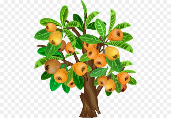 Грушевое дерево для детей на прозрачном фоне