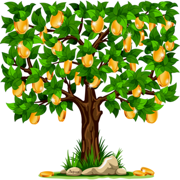 Дерева грецкого ореха raskraska