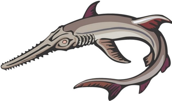 Рыба пила вектор