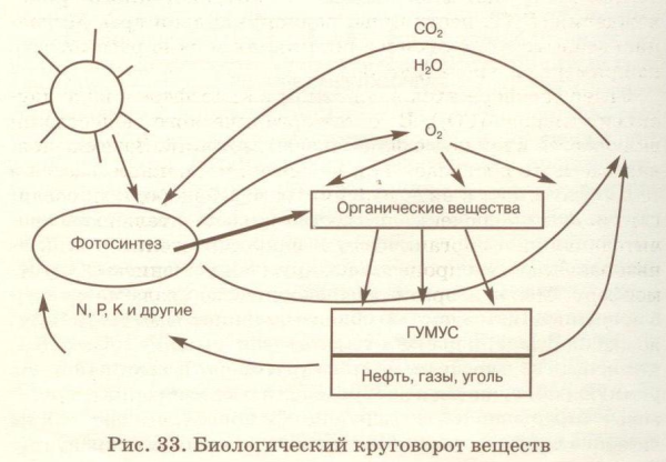 Круговорот веществ в природе схема