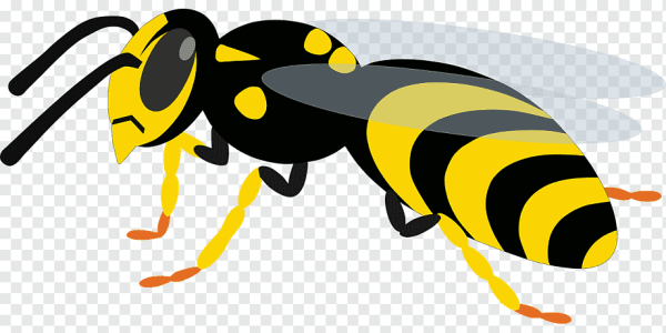 Оса мультяшная