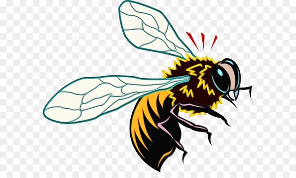 Оса тату эскиз