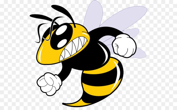 Трутень жало