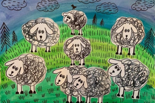 Зарисовки овец