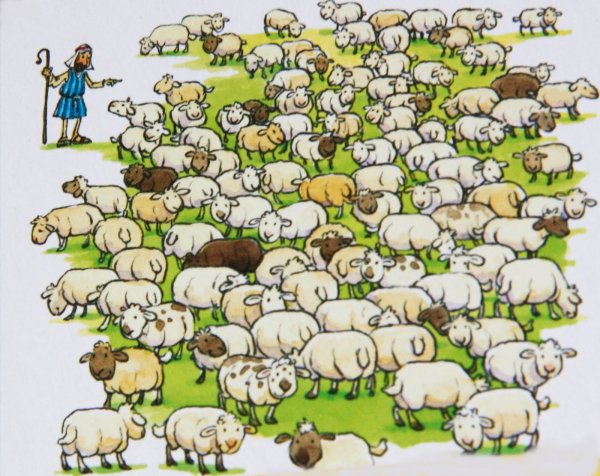 Овечка Графика