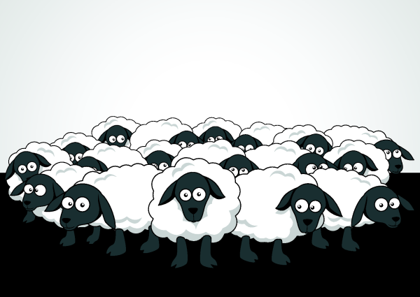 Стадо овец раскраска