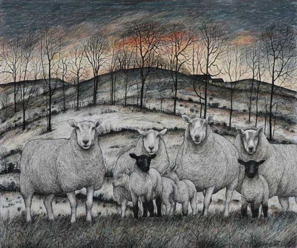 Овца карикатура