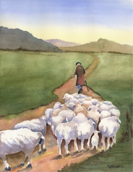 Волк в овечьей шкуре