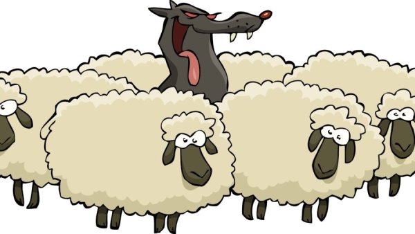 Отара овец раскраска