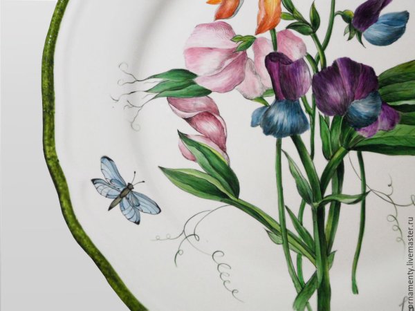 Душистый горошек Ботанический рисунок