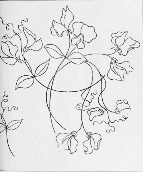 Душистый горошек акварель