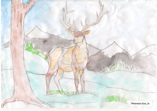 Тундра рисунок