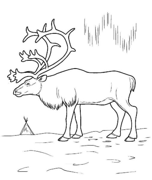 Стойбище эвенков