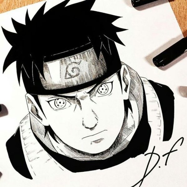 Шисуи портрет