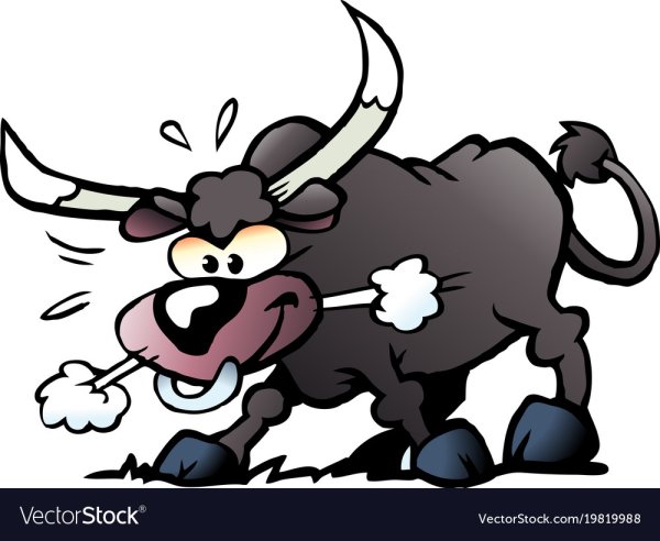 Веселый и злой бык
